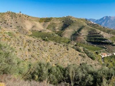 Vente Terrain TORROX 29770