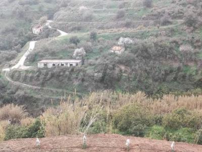 Vente Terrain TORROX 29770