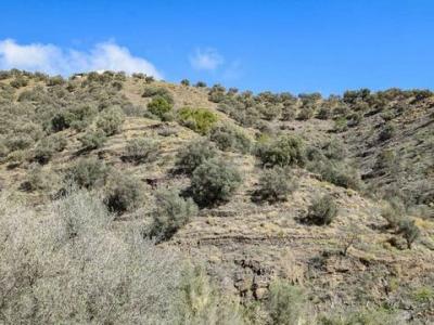 Vente Terrain TORROX 29770