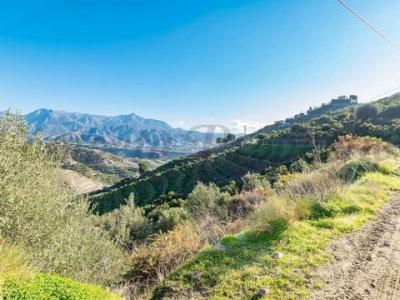 Vente Terrain TORROX 29770