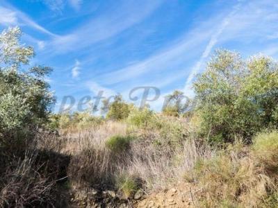 Vente Terrain TORROX 29770