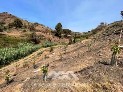 Vente Terrain TORROX 29770