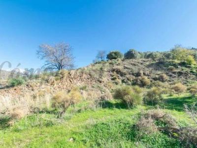 Vente Terrain TORROX 29770