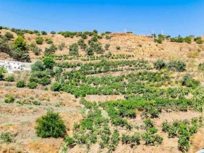 Vente Terrain TORROX 29770