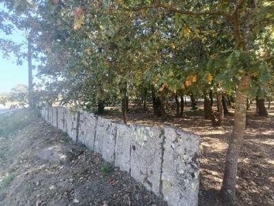 Vente Terrain TUI 36700