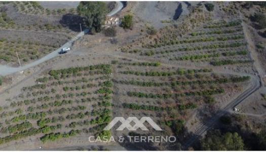 Vente Terrain VELEZ-MALAGA 29700