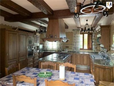 Vente Maison VILLANUEVA-DE-LA-CONCEPCION 29230