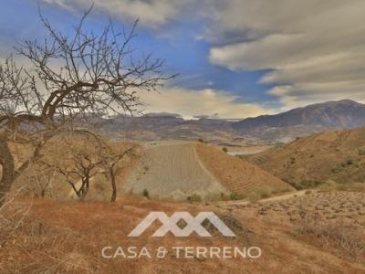 Vente Terrain VINUELA 13460