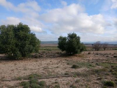 Vente Terrain YECLA 30510