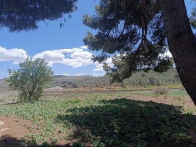 Vente Maison YECLA 30510