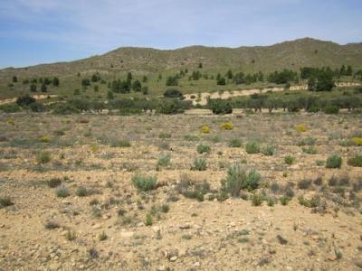 Vente Terrain YECLA 30510