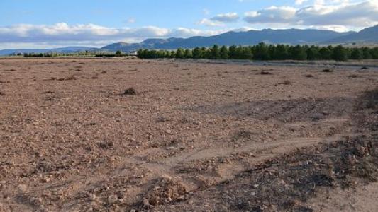 Vente Terrain YECLA 30510