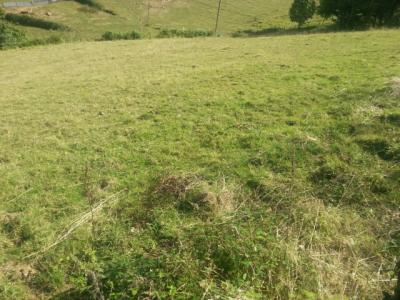 Acheter Terrain La-arena 29000 euros