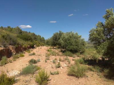 Annonce Vente Terrain Xativa