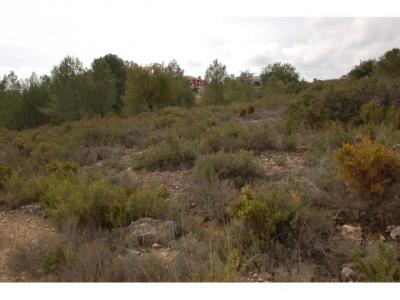 Vente Terrain Monserrat  V en Espagne