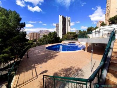 Location Appartement Alicante  A en Espagne