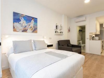 Louer Appartement 37 m2 Malaga