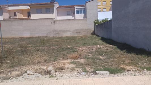 Annonce Vente Terrain Alfarrasi