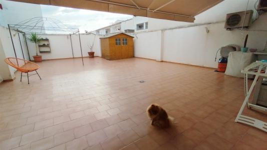 Acheter Appartement L'alcudia-de-crespins 120000 euros