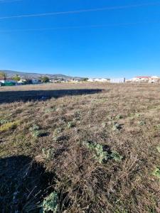 Annonce Vente Terrain Lucena