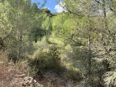 Vente Terrain Manacor  PM en Espagne