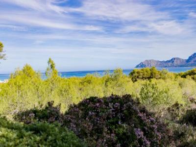 Annonce Vente Terrain Son-serra-de-marina