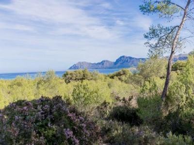 Acheter Terrain Son-serra-de-marina rgion ISLAS-BALEARES