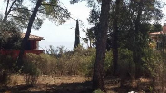 Vente Terrain Calvia  PM en Espagne
