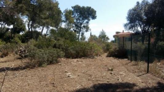 Annonce Vente Terrain Calvia