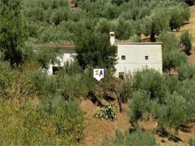 Annonce Vente Maison Fuensanta-de-martos