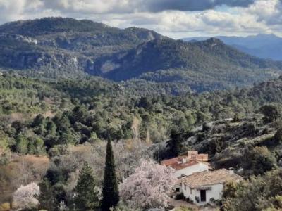 Acheter Maison Cazorla rgion JAEN