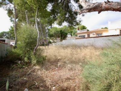 Annonce Vente Terrain Pinar-de-campoverde