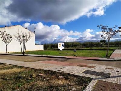 Annonce Vente Terrain Salinas