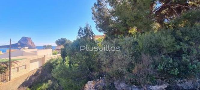 Acheter Terrain 880 m2 Calpe