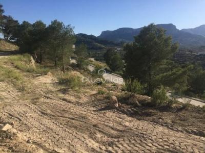 Annonce Vente Terrain Calpe