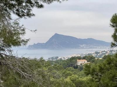 Annonce Vente Terrain Altea