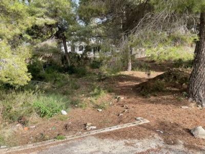 Acheter Terrain 6875 m2 Moraira