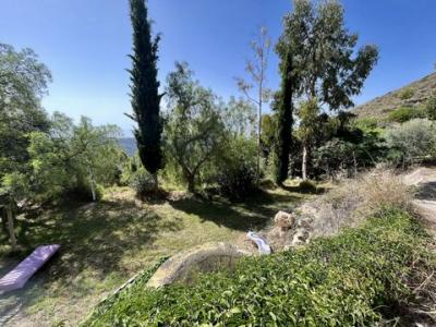 Annonce Vente Appartement Nerja