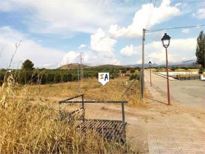 Acheter Terrain 3022 m2 Las-casillas