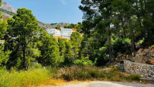 Acheter Terrain 2430 m2 Altea