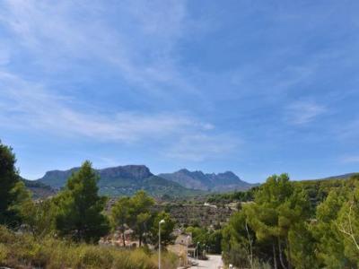 Annonce Vente Terrain Benicolada