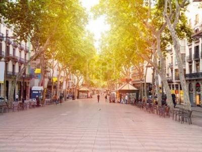 Annonce Vente Local commercial Barcelona