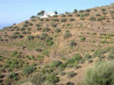 Acheter Terrain Torrox