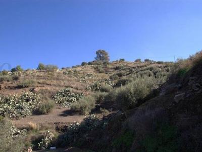 Acheter Maison Torrox rgion MALAGA