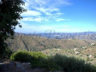 Acheter Terrain Canillas-de-aceituno rgion MALAGA