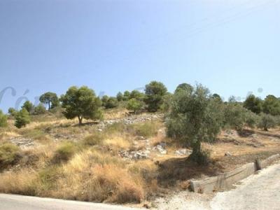 Annonce Vente Terrain Canillas-de-albaida