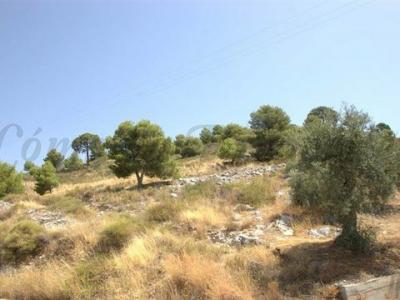 Acheter Terrain Canillas-de-albaida