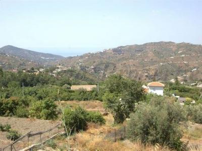 Acheter Terrain Canillas-de-albaida rgion MALAGA