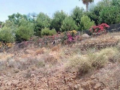 Vente Terrain Arenas  MA en Espagne
