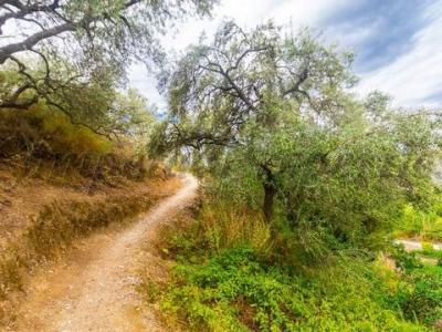 Acheter Terrain Canillas-de-albaida